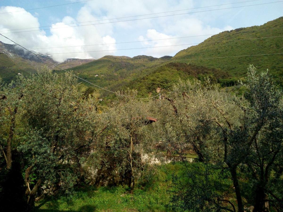 ארקו B&B Agli Ulivi מראה חיצוני תמונה