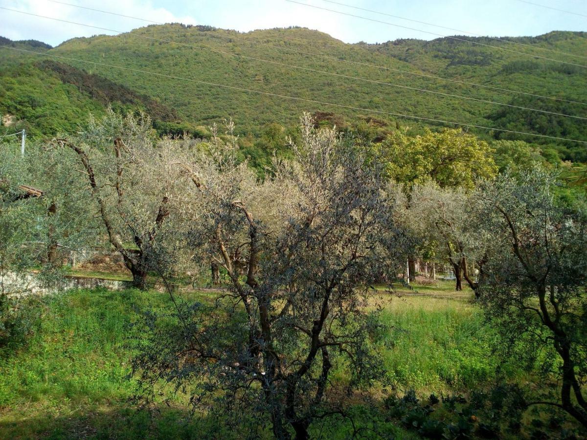 ארקו B&B Agli Ulivi מראה חיצוני תמונה